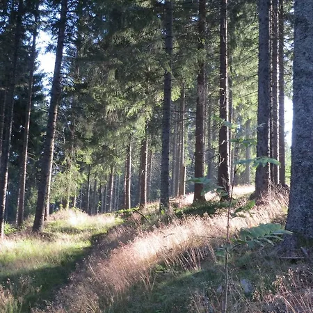 Hill Side *