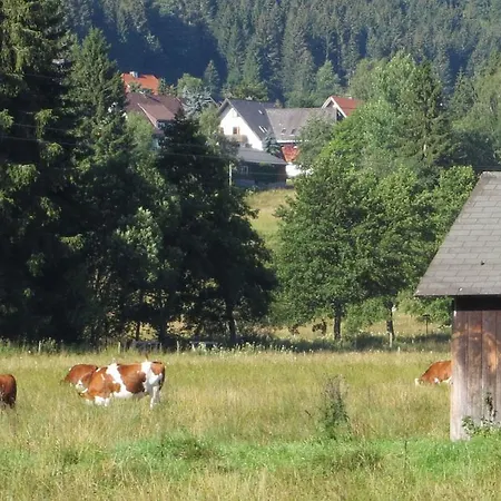 Hill Side